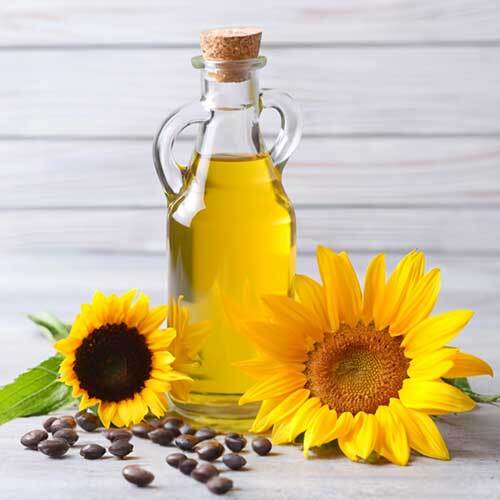 Sunflower Oil